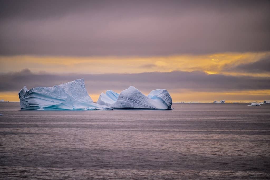 Hurtigruten Antarktis Eisberge
