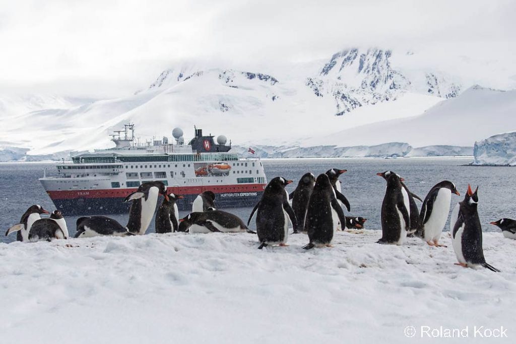 Hurtigruten Antarktis: Die MS Fram mit Pinguinen am Damoy Point