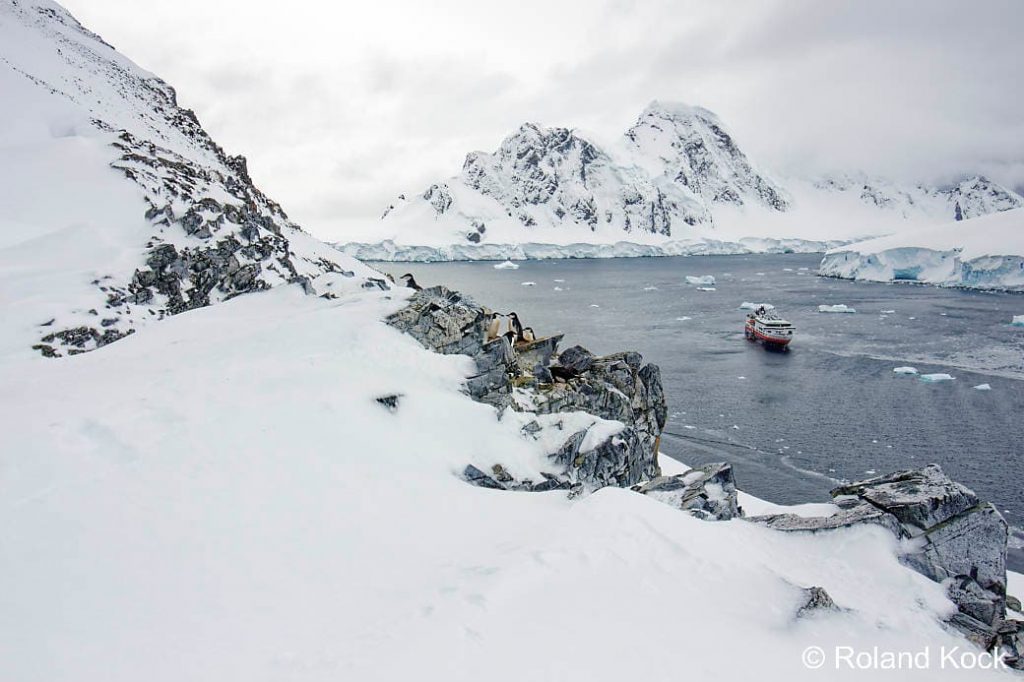 Hurtigruten Antarktis: Zügelpinguine nisten über der Bucht von Orne Harbour mit der MS Fram