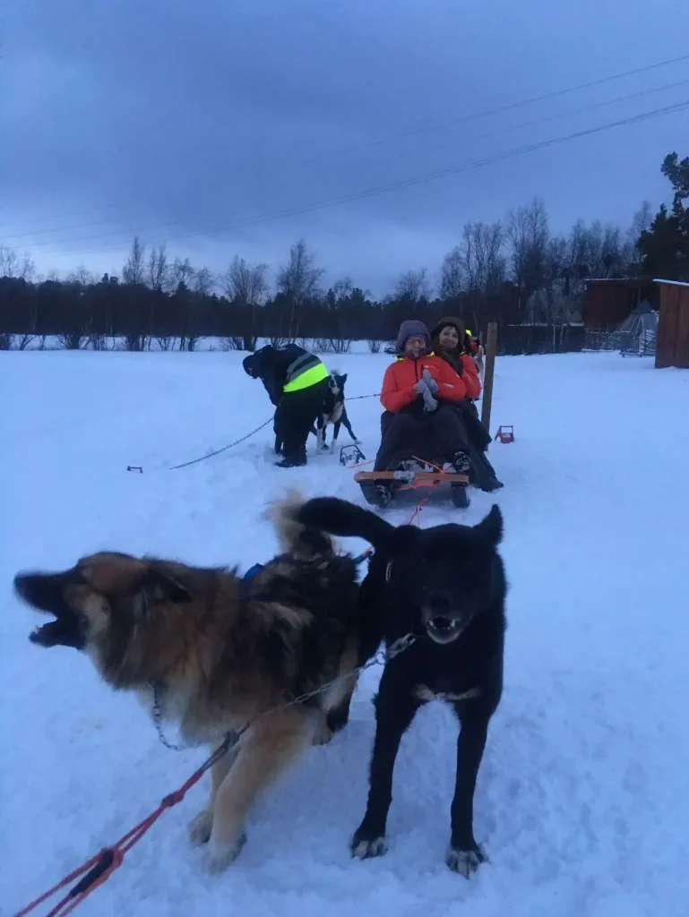 Hundeschlittenfahrt während einer Hurtigruten Reise im Winter