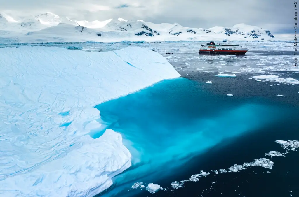 hurtigruten antarktis ms fram neko harbour